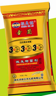 圣菌系列